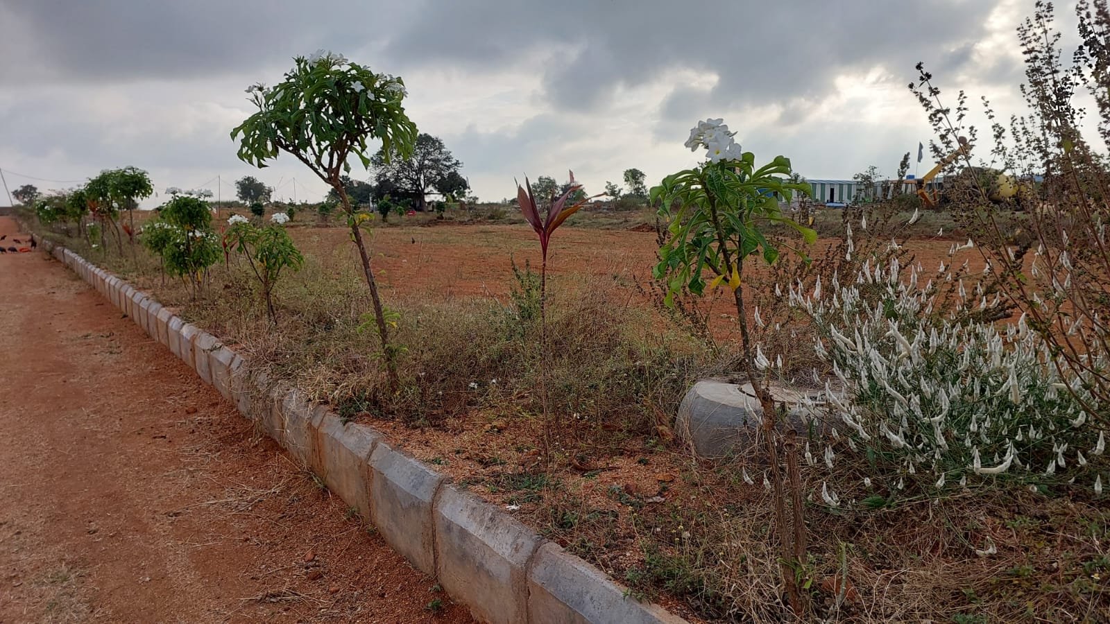 Nakshatra's Visthara photo 8