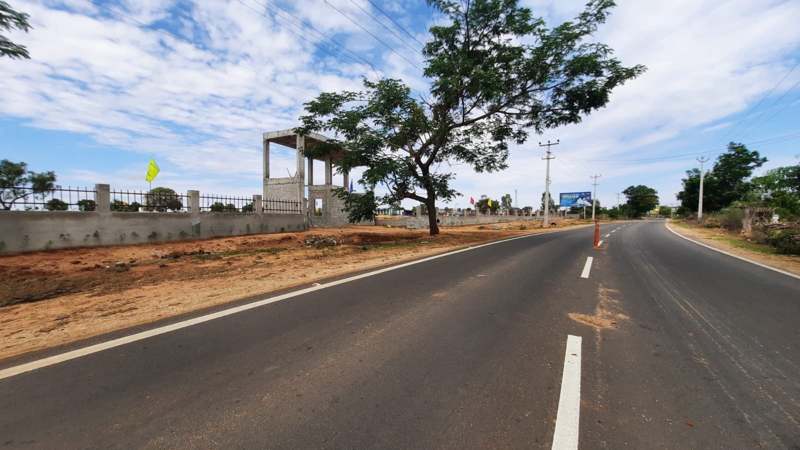 Avenue plantation along every road